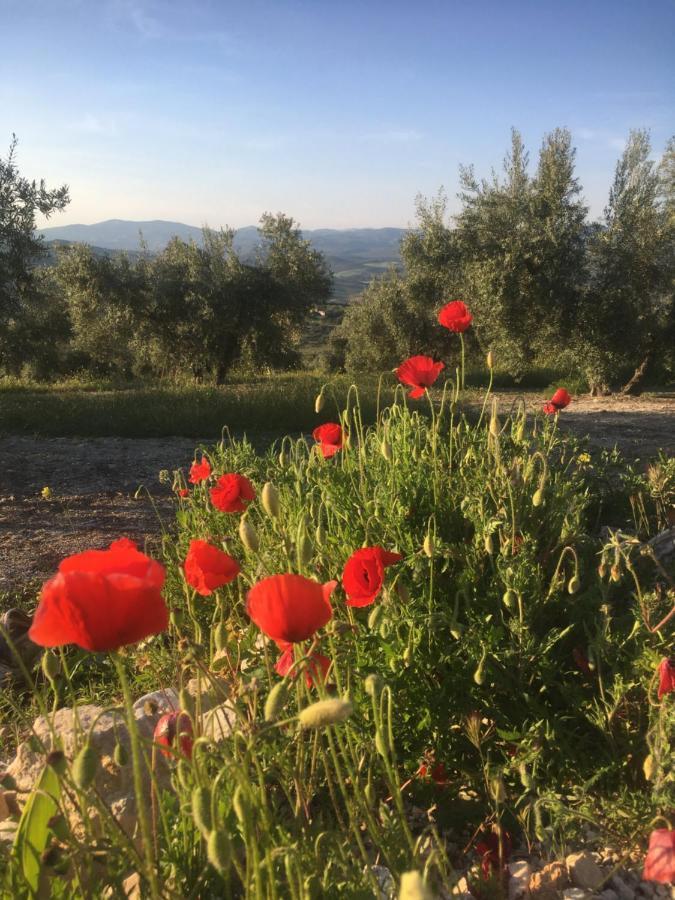 New Leaf Cortijo Apartment ,Moclín Екстериор снимка